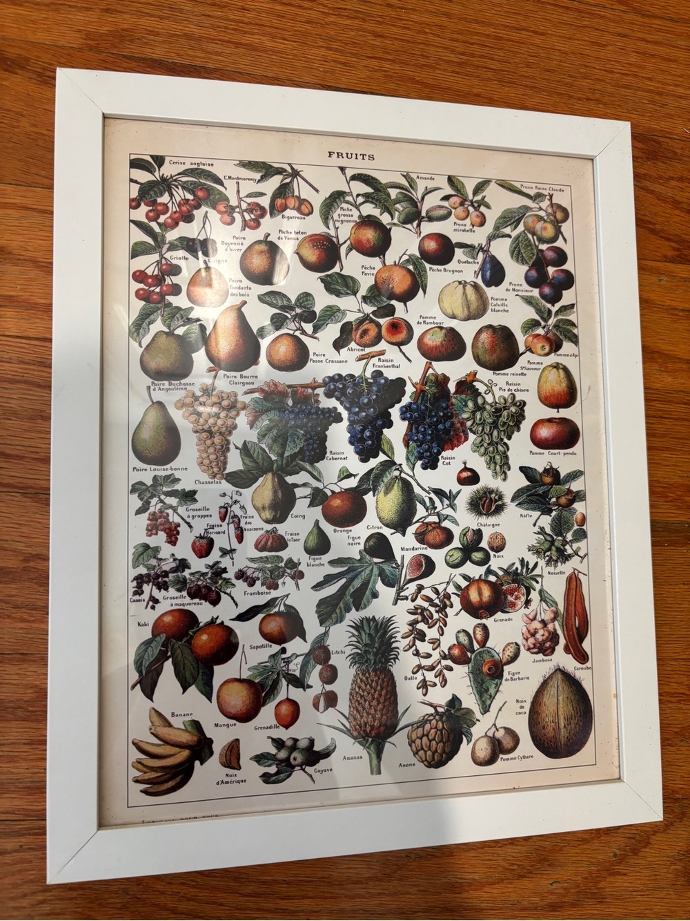 White Framed Vintage Fruit and Legumes Print Wall Art in French